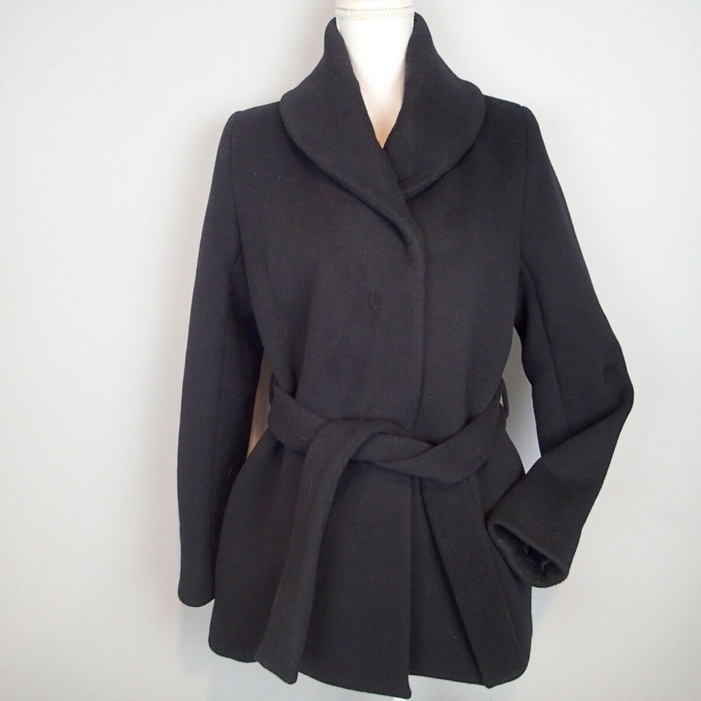 Aritzia Wilfred Coat